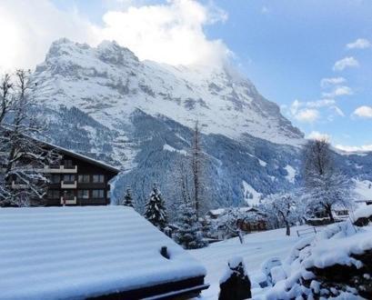 Pfaffenstoeckli Apartment Grindelwald Room photo
